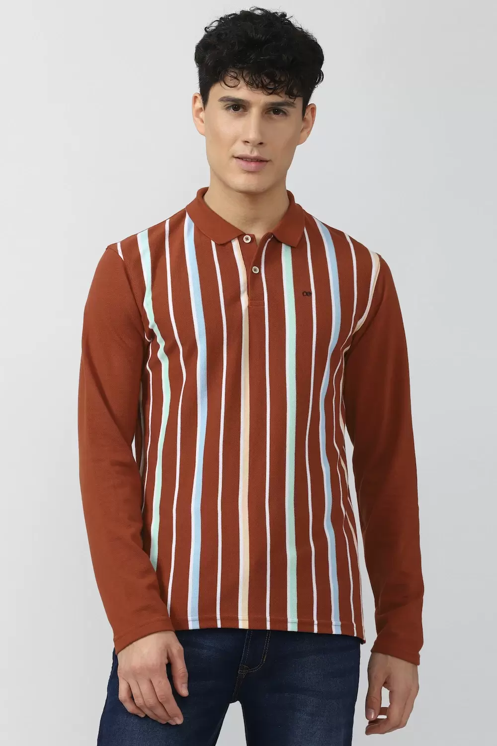 Peter England Men Brown Stripe Polo Neck Polo T-Shirts