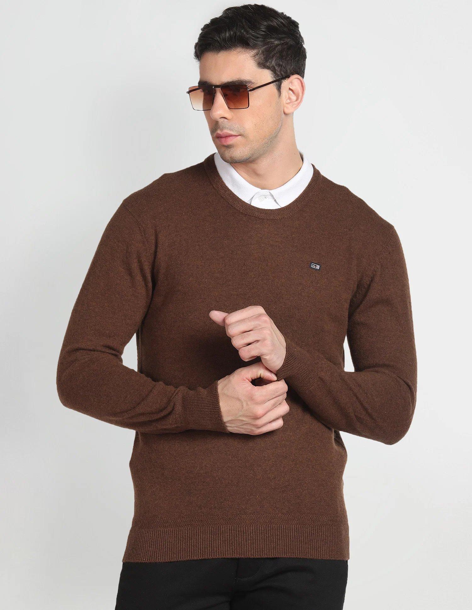 Crew Neck Solid Sweater In Brown